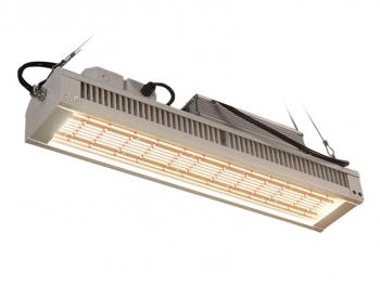 Revolutionizing Indoor Gardening: The Advantages of LED Grow Lights Over Traditional Lighting