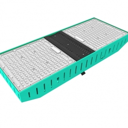 800W LED Canopy Light